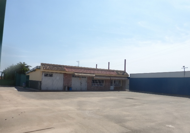 Paraje de los Chaparros 4, junto camino del Choril, km 2 Ctra. Cartagena-La Palma, Cartagena, Murcia