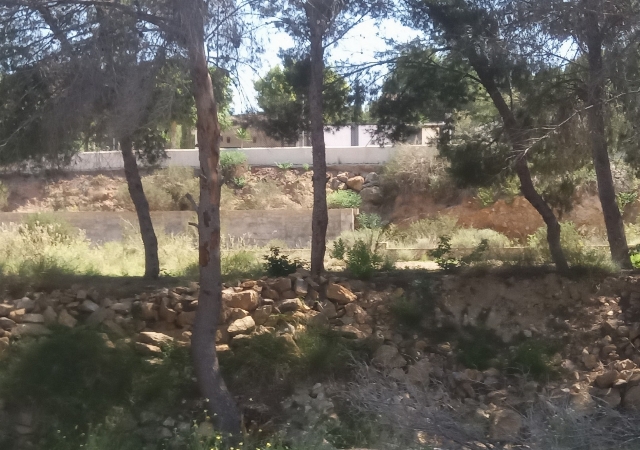 LG ESPARRAGAL-EL CAMPILLO 0, MURCIA, Murcia