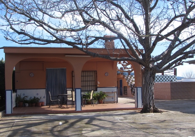 PD TERRER POL. 23 PARC. 470 470, ALZIRA, Valencia/València