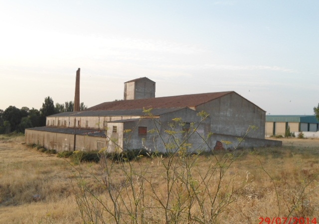 TEJARES, SALAMANCA, Salamanca
