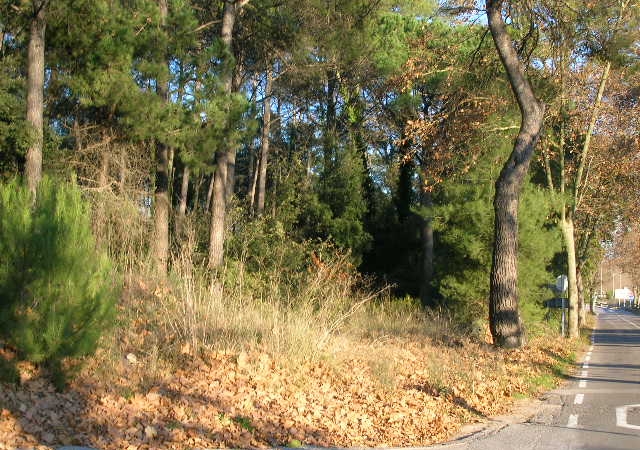 AVENIDA PARE MAÑANET SN, BEGUES, Barcelona