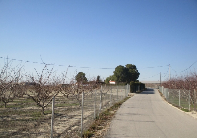 c/ Almazara, 31. Polígono Ascoy, Cieza, Murcia