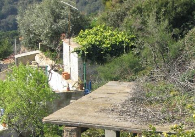 CL DE BLANES 10 BJ, PINEDA DE MAR, Barcelona