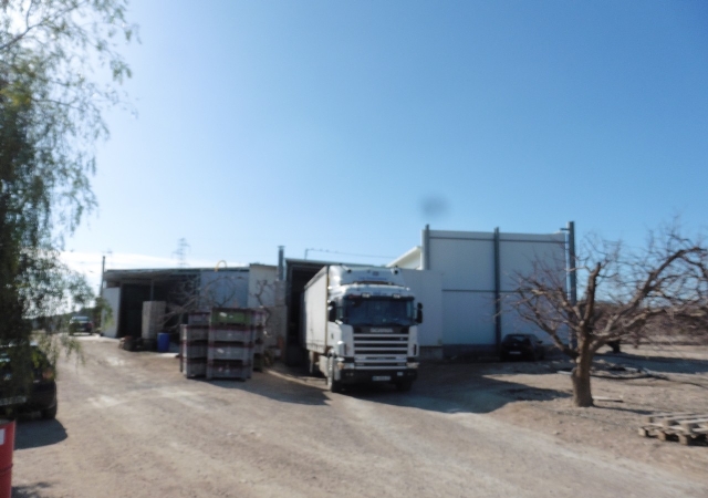 Polígono 7, parcela 49. Rambla del Arco, Ojós, Murcia