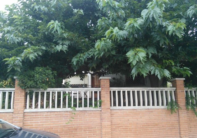 Urbanización Residencial Remei, parcela 72, Alcover, Tarragona