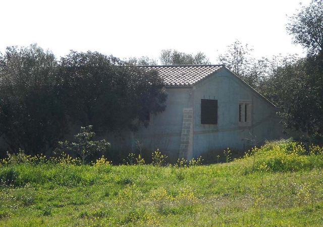 Pl:00 Pt:01 Polígono 11 Parcela 1030, MONTUIRI, Illes Balears