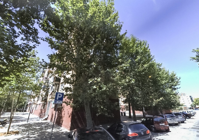 Calle Benevento, nro. 2 planta baja, puerta 2ª, 08019-Barcelona, Barcelona, Barcelona