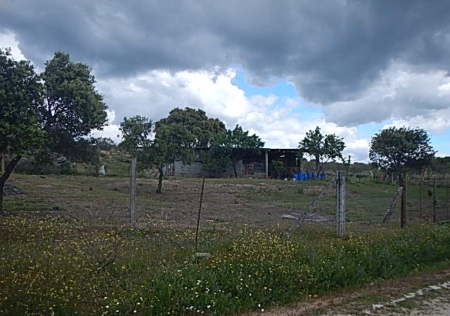 polígono 4 parcela 30049 Linarejo, NAVALCAN, Toledo