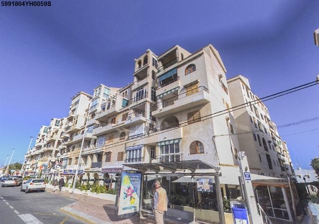 CR TORREJON EL 4, TORREVIEJA, Alicante/Alacant