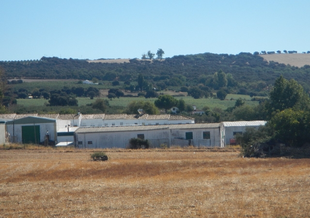 , SETENIL DE LAS BODEGAS, Cádiz