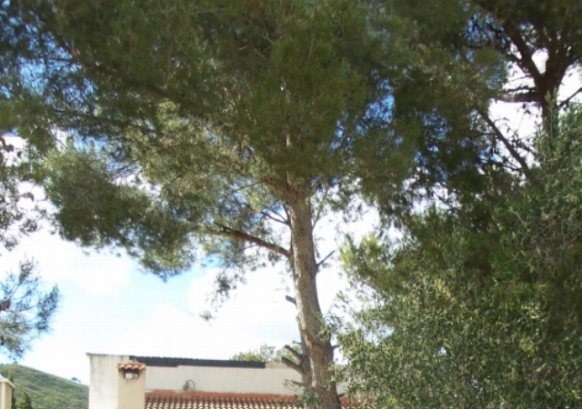 Calle Galicia, núm. 38, Urbanización el Mirador del Penedès, El Montmell, Tarragona