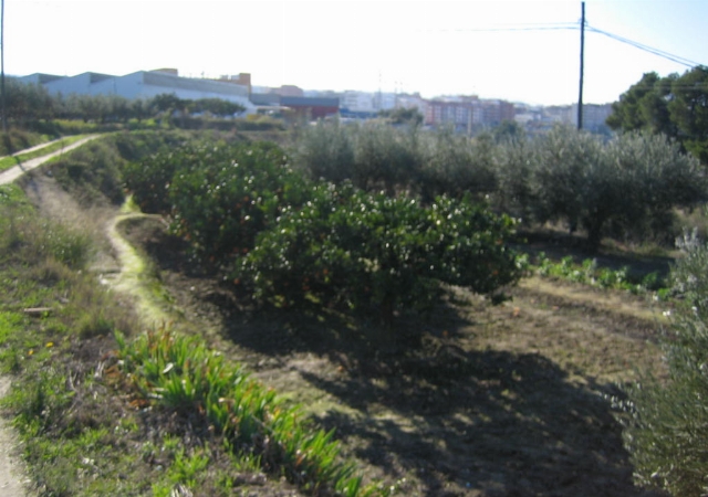 PD DE MACEBO 0, ONTINYENT, Valencia/València