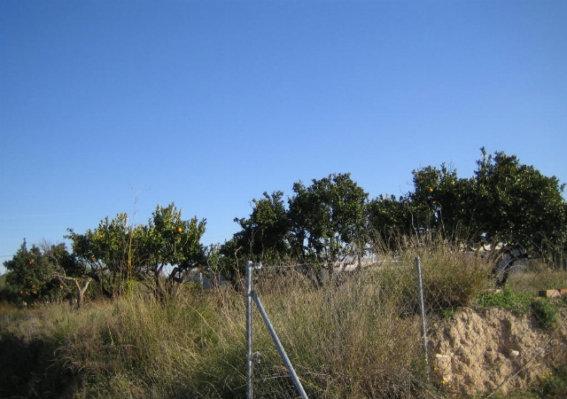 PD DEL MANCEBO 0, ONTINYENT, Valencia/València