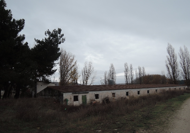 LG ARROYO CERQUILLA 0, CUELLAR, Segovia