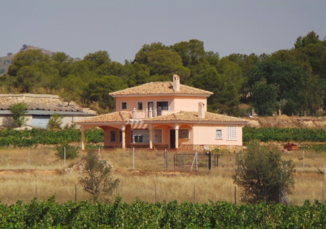 POLIGONO 30 PARCELA 24 CAÑADA DEL PAREDON, EL PINOSO, Alicante/Alacant