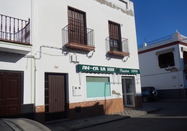 CALLE MARTINEZ MONTÁÑES 53, LOS PALACIOS Y VILLAFRANCA, Sevilla
