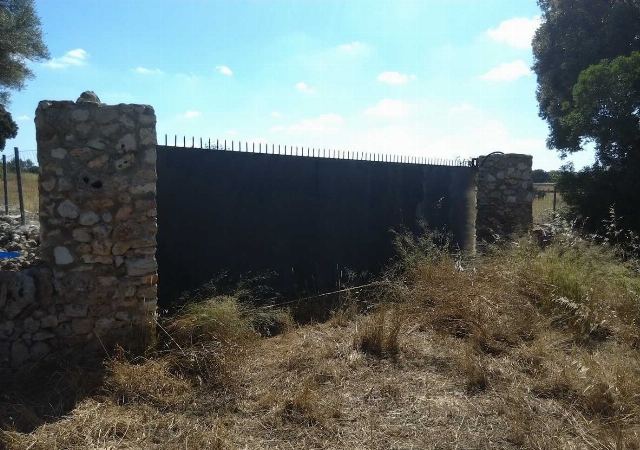 PARCELA 310 POLIGONO 12, SINEU, Illes Balears