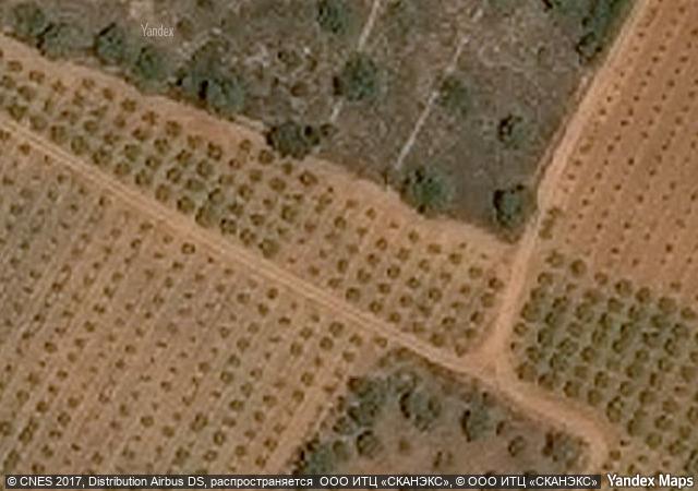 Subasta de Finca rústica en Castellón/Castelló - SubastaFácil