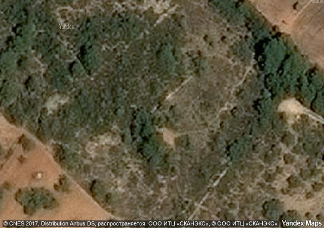 Subasta de Finca rústica en Castellón/Castelló - SubastaFácil