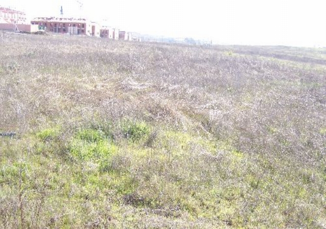 Sitio de La Godina, en termino de Mérida, MÉRIDA, Badajoz