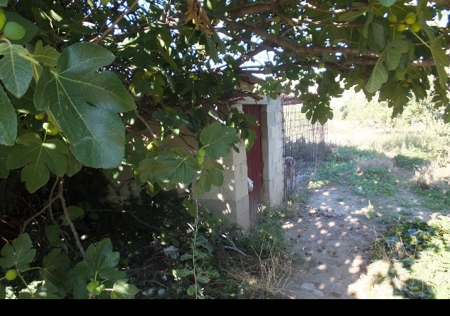 PJ HUERTAS 0, FUENMAYOR, La Rioja