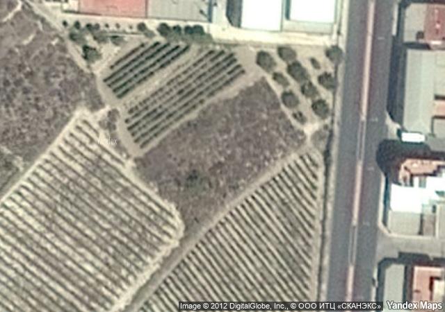 Subasta de Finca rústica en Alicante/Alacant - SubastaFácil