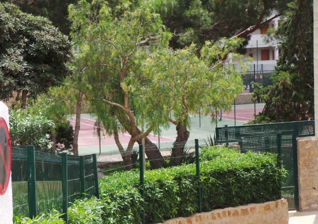 AV. PARIS 16, BLOQUE B, 15º, PTA. 6. CONJUNTO PLAYMON PARK, BENIDORM, Alicante/Alacant
