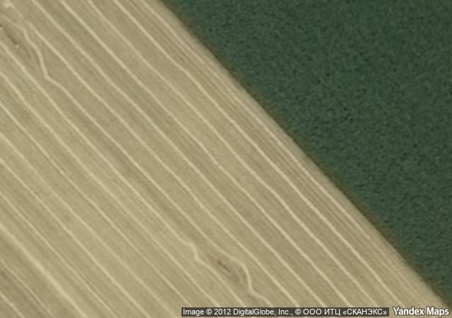 Subasta de Finca rústica en Ciudad Real - SubastaFácil